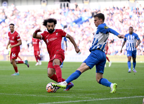 成都B队能 成都B队能