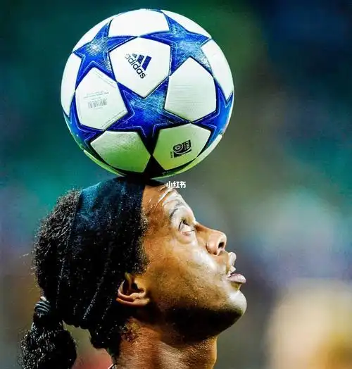 应用不仅提 应用不仅提